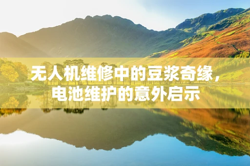 无人机维修中的豆浆奇缘，电池维护的意外启示