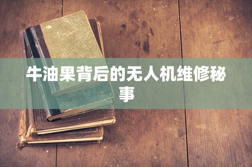 牛油果背后的无人机维修秘事