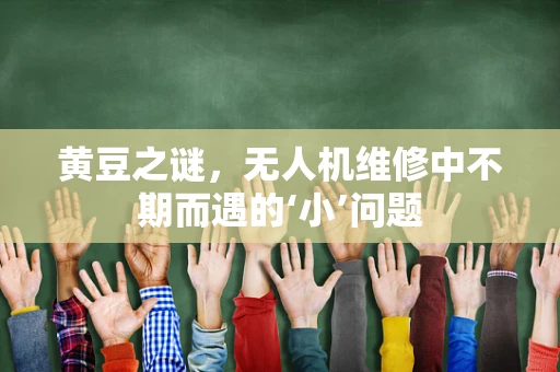 黄豆之谜，无人机维修中不期而遇的‘小’问题