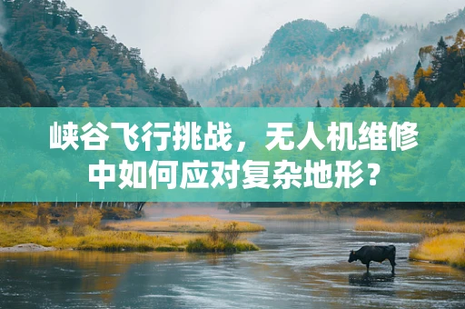 峡谷飞行挑战，无人机维修中如何应对复杂地形？