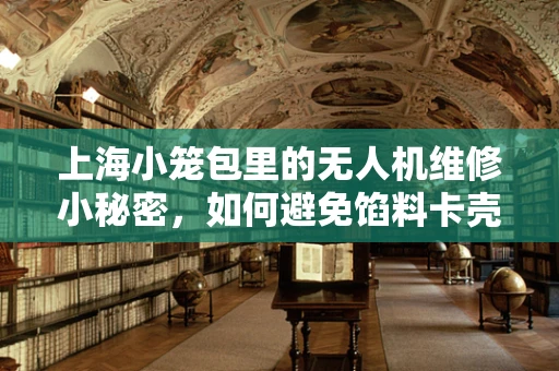 上海小笼包里的无人机维修小秘密，如何避免馅料卡壳？