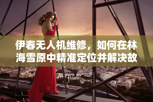 伊春无人机维修，如何在林海雪原中精准定位并解决故障？