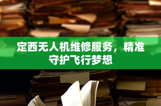 定西无人机维修服务，精准守护飞行梦想