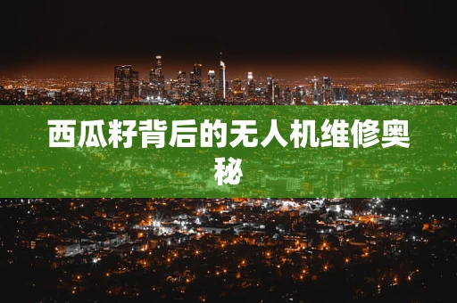 西瓜籽背后的无人机维修奥秘