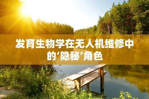 发育生物学在无人机维修中的‘隐秘’角色