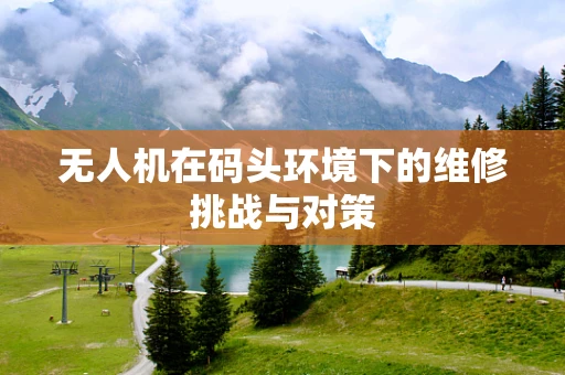 无人机在码头环境下的维修挑战与对策