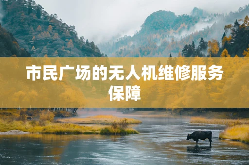 市民广场的无人机维修服务保障