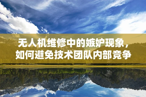 无人机维修中的嫉妒现象，如何避免技术团队内部竞争？