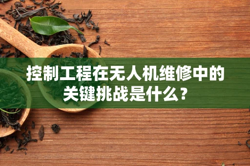 控制工程在无人机维修中的关键挑战是什么？