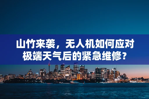 山竹来袭，无人机如何应对极端天气后的紧急维修？