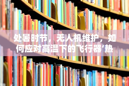 处暑时节，无人机维护，如何应对高温下的飞行器‘热’问题？