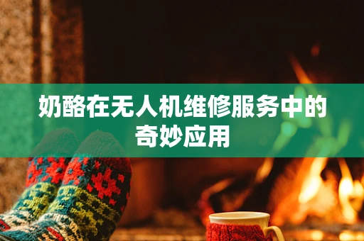 奶酪在无人机维修服务中的奇妙应用