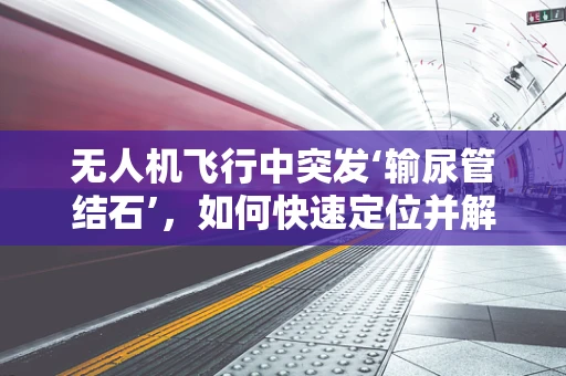 无人机飞行中突发‘输尿管结石’，如何快速定位并解决？