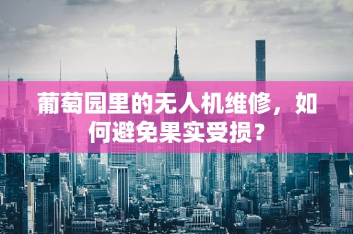 葡萄园里的无人机维修，如何避免果实受损？