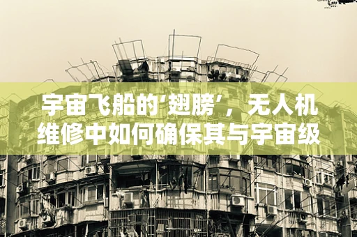 宇宙飞船的‘翅膀’，无人机维修中如何确保其与宇宙级标准的兼容？