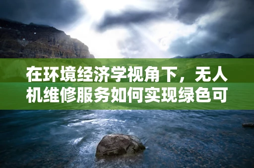 在环境经济学视角下，无人机维修服务如何实现绿色可持续？