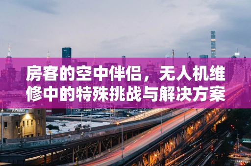 房客的空中伴侣，无人机维修中的特殊挑战与解决方案