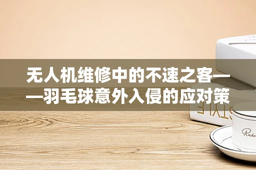 无人机维修中的不速之客——羽毛球意外入侵的应对策略
