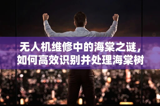 无人机维修中的海棠之谜，如何高效识别并处理海棠树下的信号干扰？