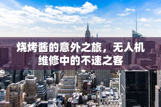 烧烤酱的意外之旅，无人机维修中的不速之客
