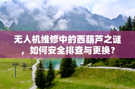 无人机维修中的西葫芦之谜，如何安全排查与更换？