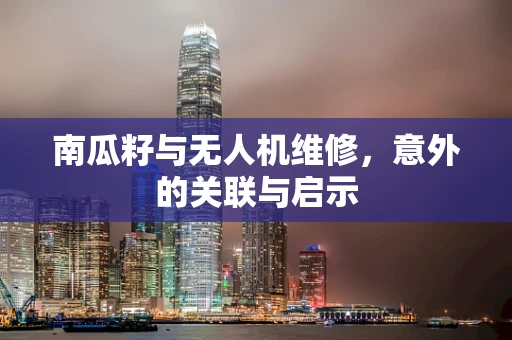 南瓜籽与无人机维修，意外的关联与启示