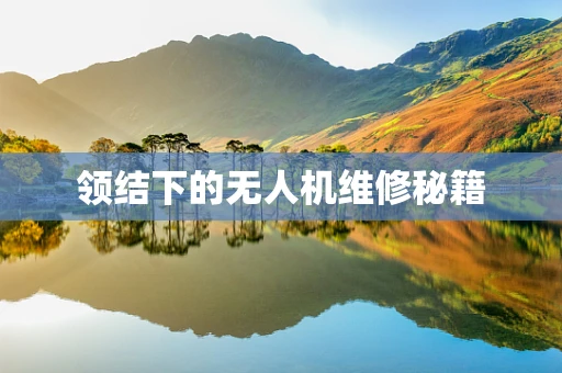 领结下的无人机维修秘籍