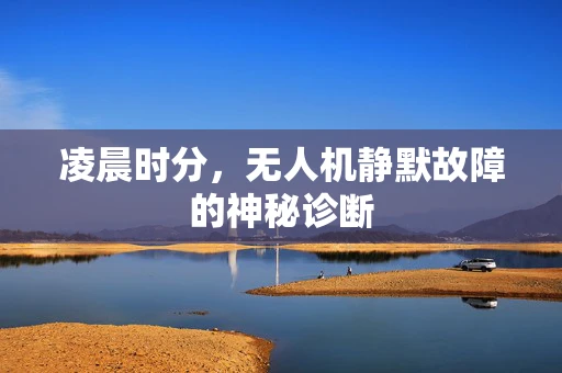 凌晨时分，无人机静默故障的神秘诊断