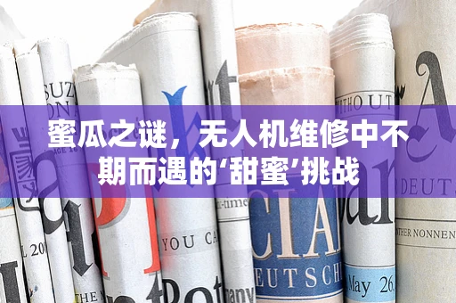 蜜瓜之谜，无人机维修中不期而遇的‘甜蜜’挑战
