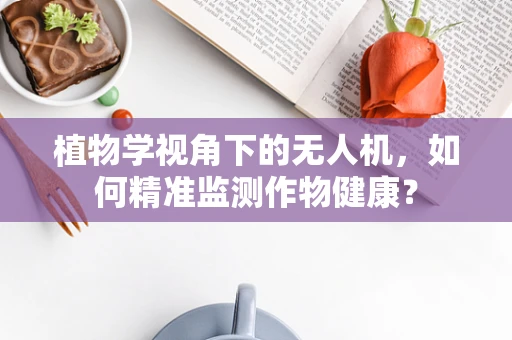 植物学视角下的无人机，如何精准监测作物健康？