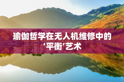 瑜伽哲学在无人机维修中的‘平衡’艺术