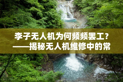 李子无人机为何频频罢工？——揭秘无人机维修中的常见问题