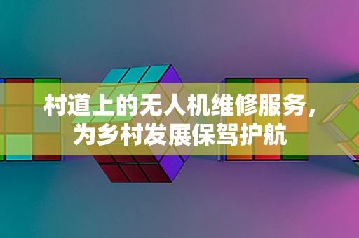 村道上的无人机维修服务，为乡村发展保驾护航