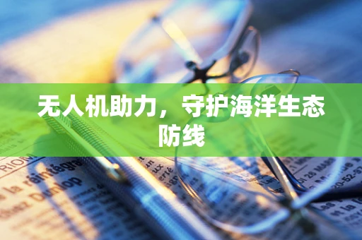 无人机助力，守护海洋生态防线