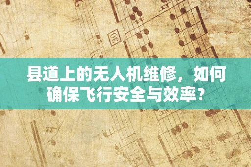 县道上的无人机维修，如何确保飞行安全与效率？