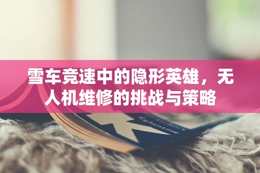 雪车竞速中的隐形英雄，无人机维修的挑战与策略