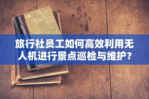 旅行社员工如何高效利用无人机进行景点巡检与维护？