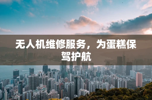 无人机维修服务，为蛋糕保驾护航