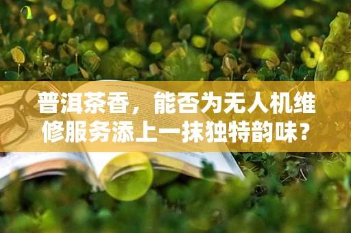 普洱茶香，能否为无人机维修服务添上一抹独特韵味？