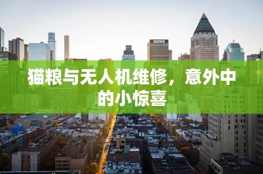 猫粮与无人机维修，意外中的小惊喜