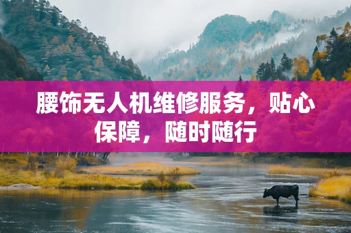腰饰无人机维修服务，贴心保障，随时随行