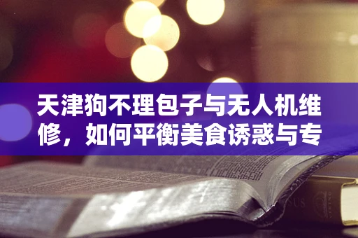 天津狗不理包子与无人机维修，如何平衡美食诱惑与专业职责？