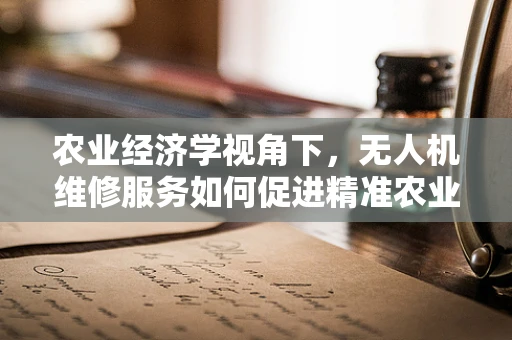 农业经济学视角下，无人机维修服务如何促进精准农业发展？