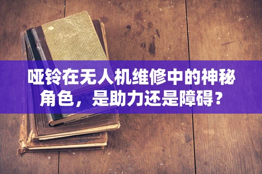哑铃在无人机维修中的神秘角色，是助力还是障碍？
