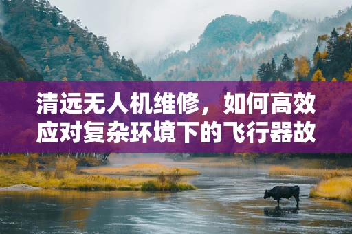 清远无人机维修，如何高效应对复杂环境下的飞行器故障？