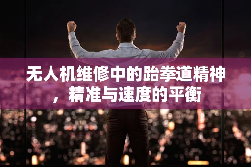 无人机维修中的跆拳道精神，精准与速度的平衡