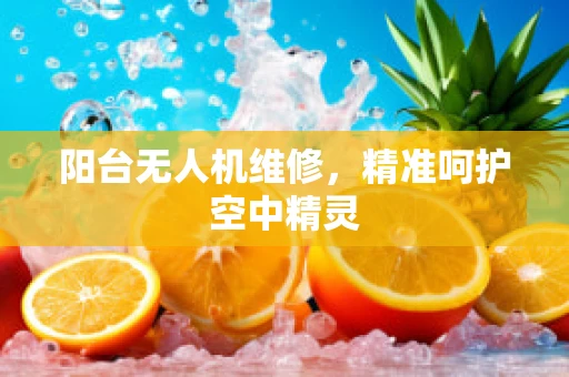 阳台无人机维修，精准呵护空中精灵