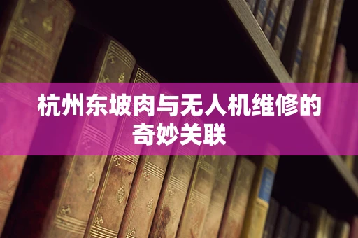 杭州东坡肉与无人机维修的奇妙关联