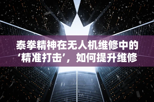 泰拳精神在无人机维修中的‘精准打击’，如何提升维修效率？