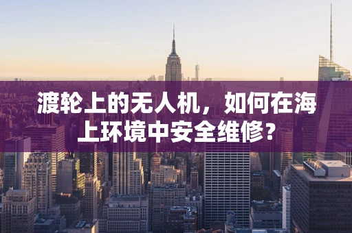渡轮上的无人机，如何在海上环境中安全维修？